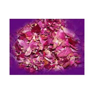 Rose Petals Image